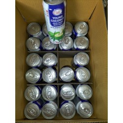 [ 500ml x 24 Cans ] IceCool Young Coconut with Pulp